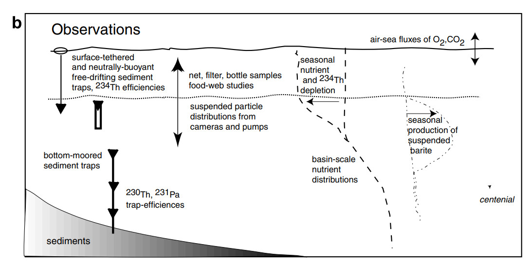 Understanding The Export Of Biogenic Particles In Oceanic Waters