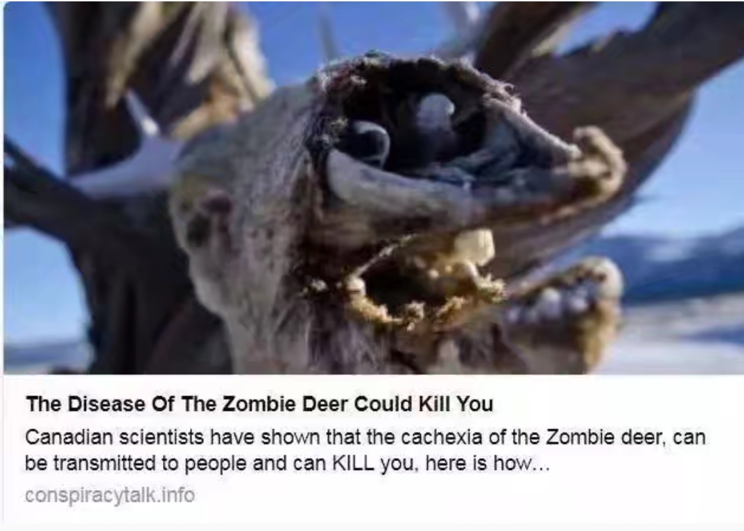 大脑被啃光,科学家担忧僵尸鹿恐影响人类!加拿大两省已沦陷!