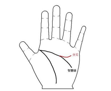 智慧线末端有向上分叉的人