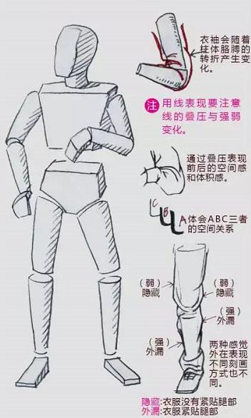 美术生联考速写之人体体块的组成关系和作画细节全解析