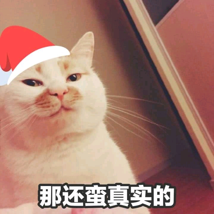 喵喵的表情包 可能会发重复.见谅