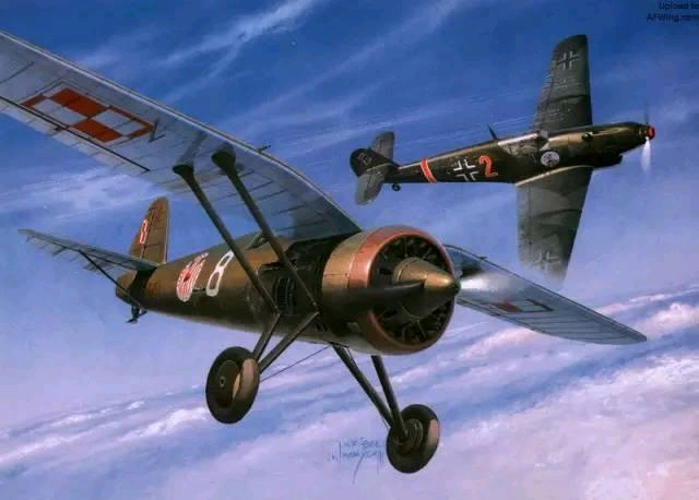 二战波兰空军系列pzl38狼重型战斗机