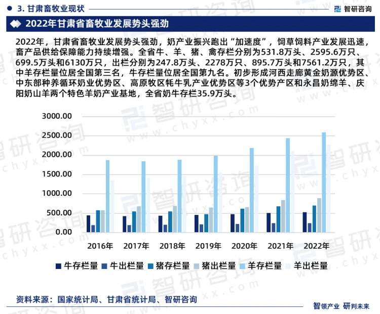 2022年,甘肃省畜牧业发展势头强劲,奶产业振兴跑出“加速度”,饲草饲料产业发展迅速,畜产品供给保障能力持续增强。全省牛、羊、猪、禽存栏分别为531.8万头、2595.6万只、699.5万头和6130万只,出栏分别为247.8万头、2278万只、895.7万头和7561.2万只,其中羊存栏量位居全国第三名,牛存栏量位居全国第九名。初步形成河西走廊黄金奶源优势区、中东部种养循环奶业优势区、高原牧区牦牛乳产业优势区等3个优势产区和永昌奶绵羊、庆阳奶山羊两个特色羊奶产业基地,全省奶牛存栏35.9万头。全省肉产量达144万吨、牛奶91.8万吨,同比增长5.9%、37.8%,高于全国3.8%、6.8%的增速,全省净调出生猪89.9万头,由猪肉产销平衡省份变为调出省份。
