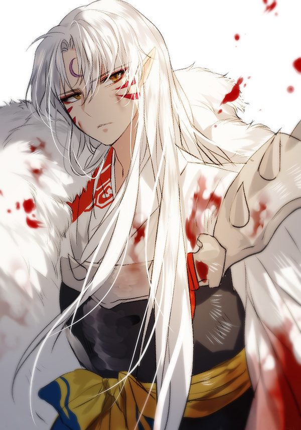 冷血的贵公子——杀生丸