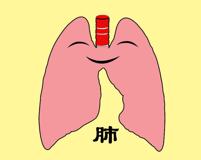 ac5b5124d95d61373c62f195e618f2c60996637e.jpg