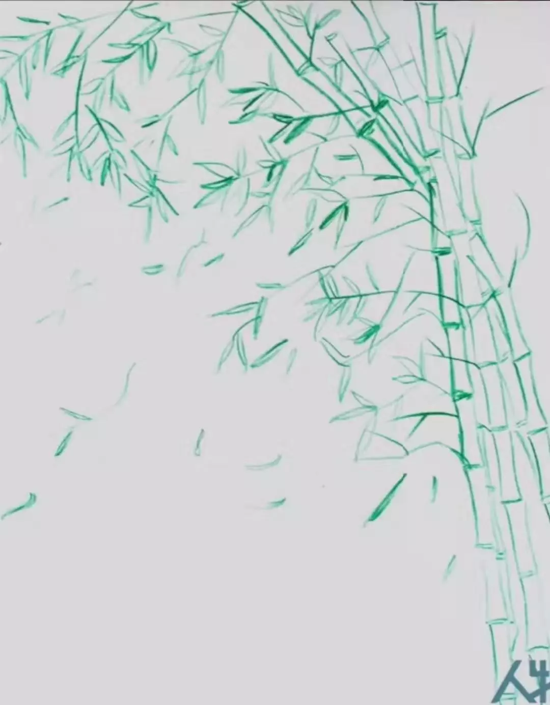 肖战画作