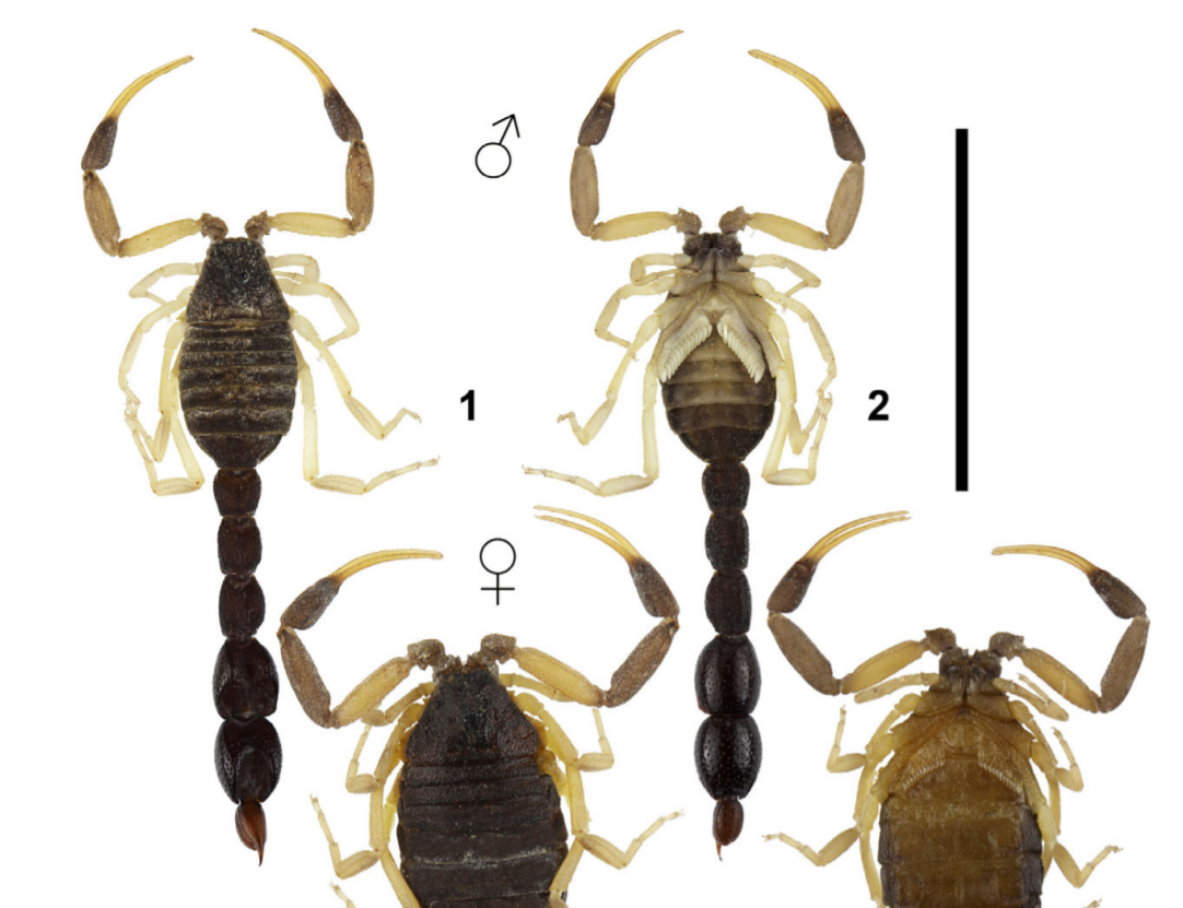 ac9eab16abb9c4d6a437c37fe18b48194ddfea71.png