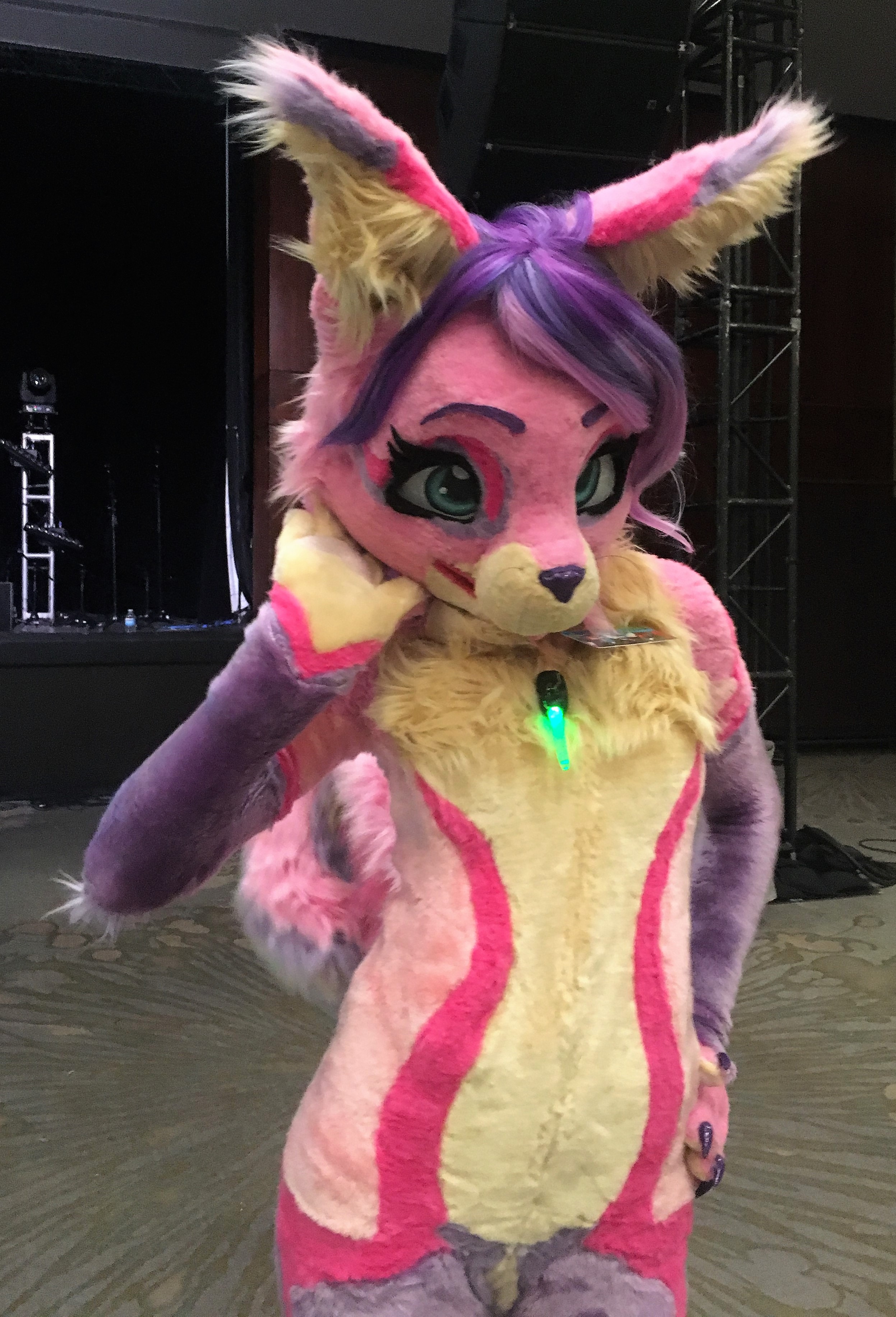 美系fursuit图集一