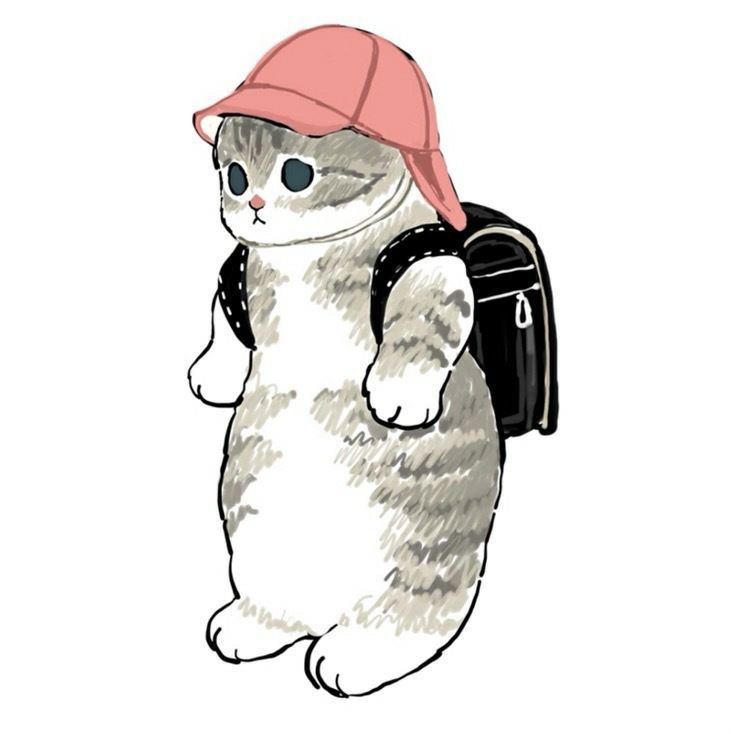 二次元精美头像更新——小众~猫猫(第31期)