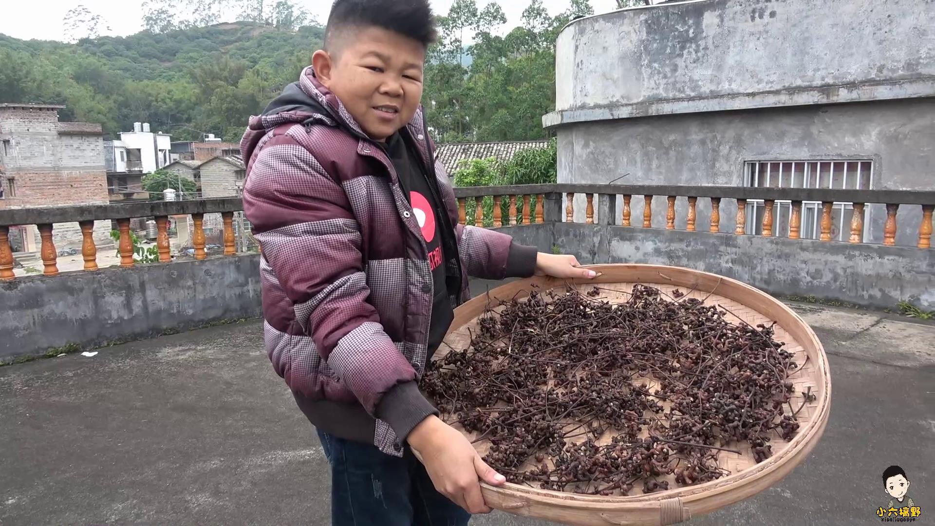 农村小六自酿一壶好酒——万寿果酒