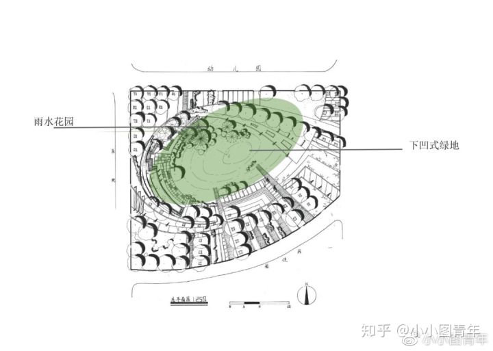 (1)功能分区规划 下沉式绿地是一种高程低于周围路面的公共绿地,也称