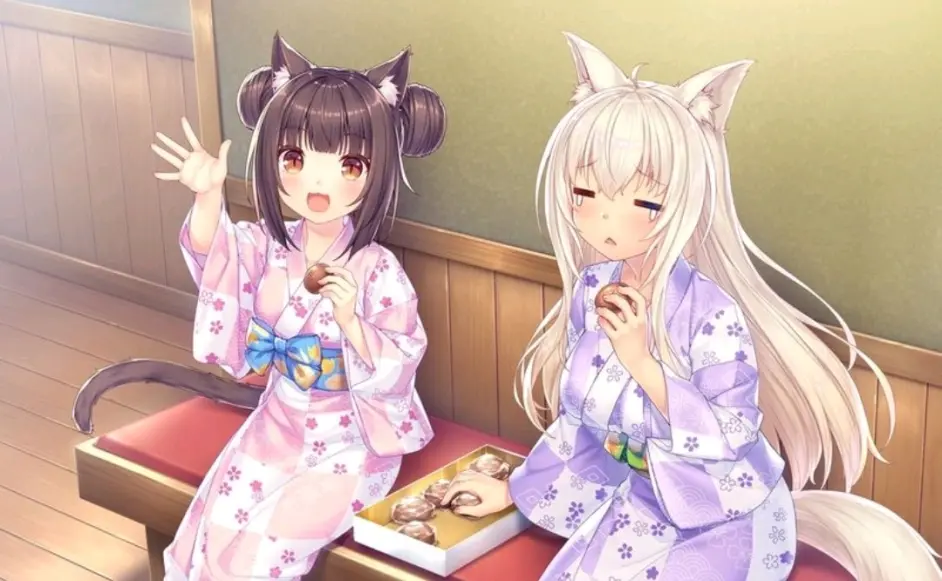 猫娘乐园美图iv