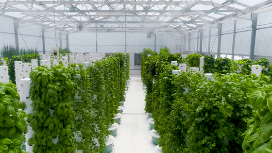 揭秘现代农业产业背后的那些科技支撑