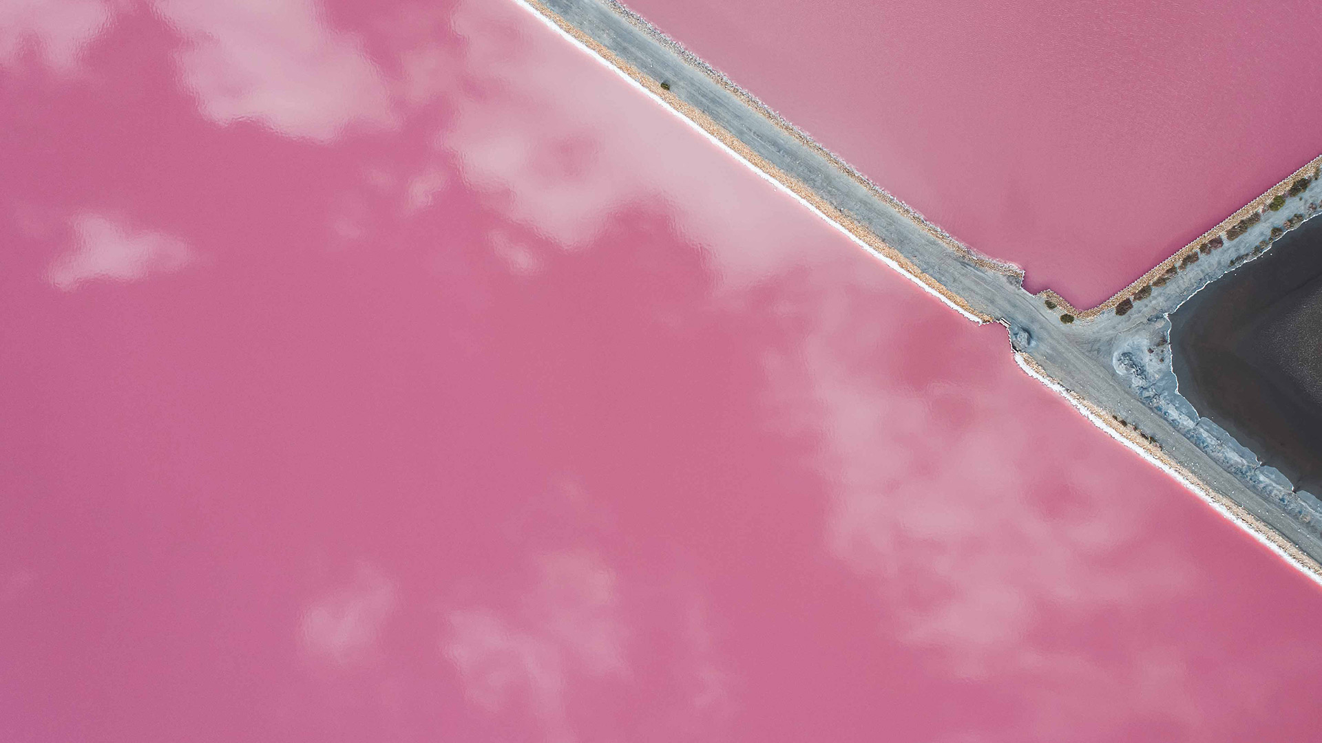 必应每日壁纸(bing wallpaper)4.11-4.15 清明