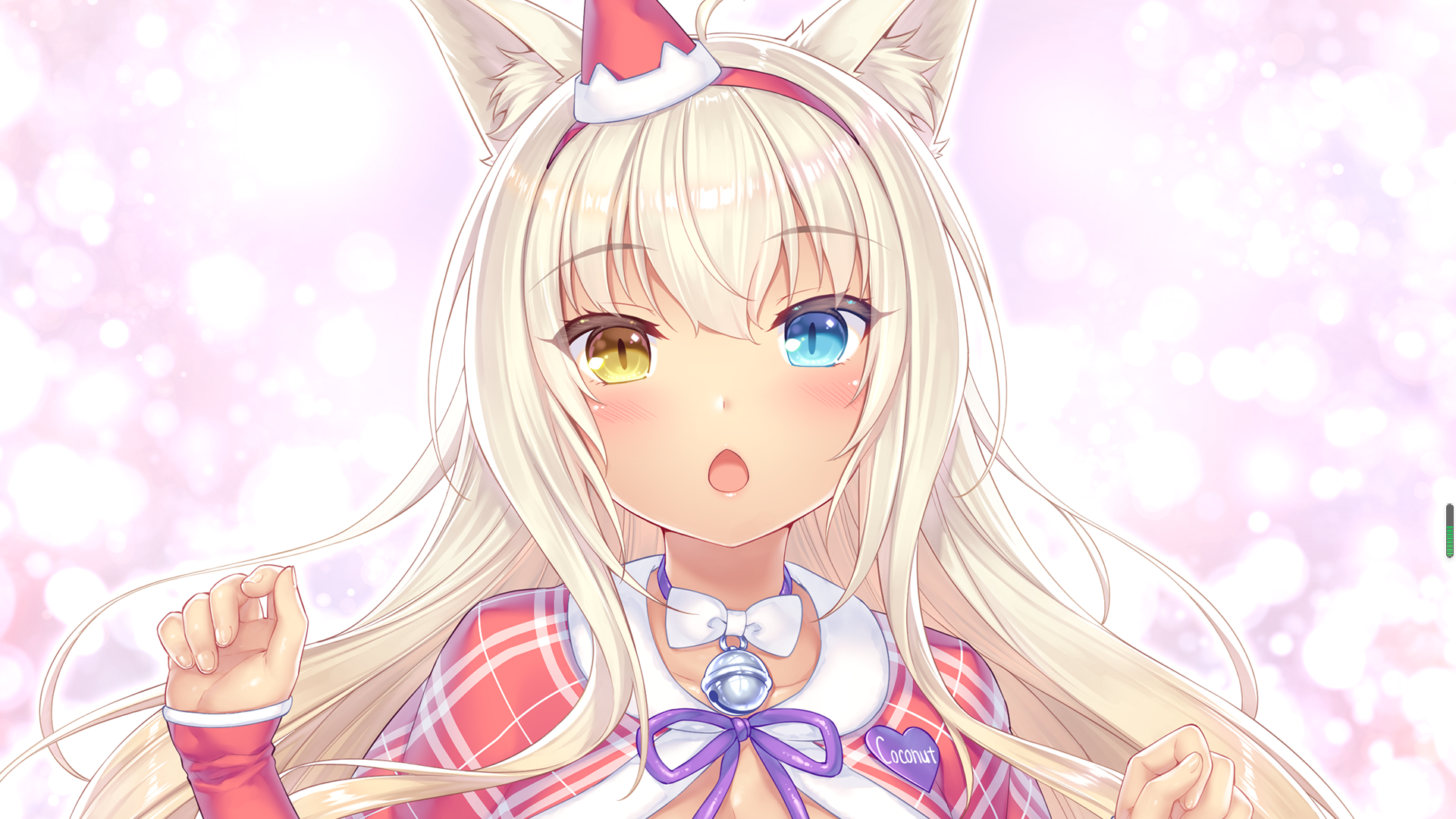 nekopara4高清cg壁纸