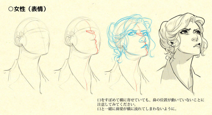 动画 动漫杂谈 【漫画素材】漫画人物鼻子篇  今天小编为大家带来的是
