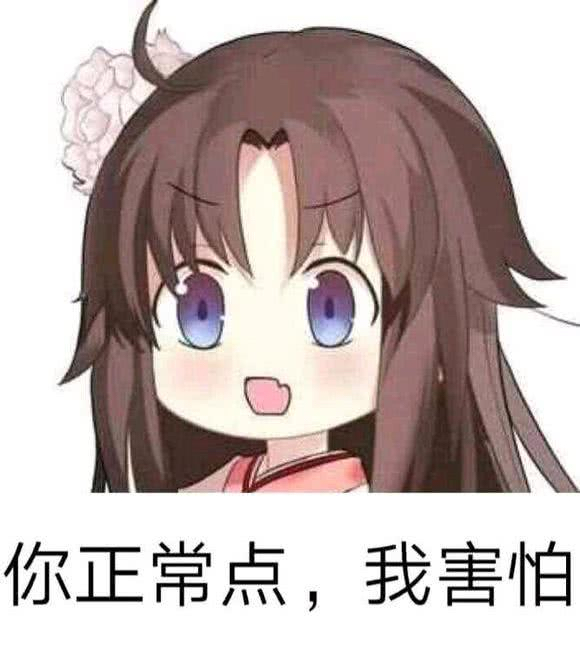 两仪式表情包