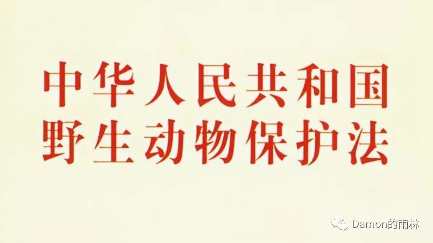 类比脱口秀段子文案,类比脱口秀段子文案怎么写