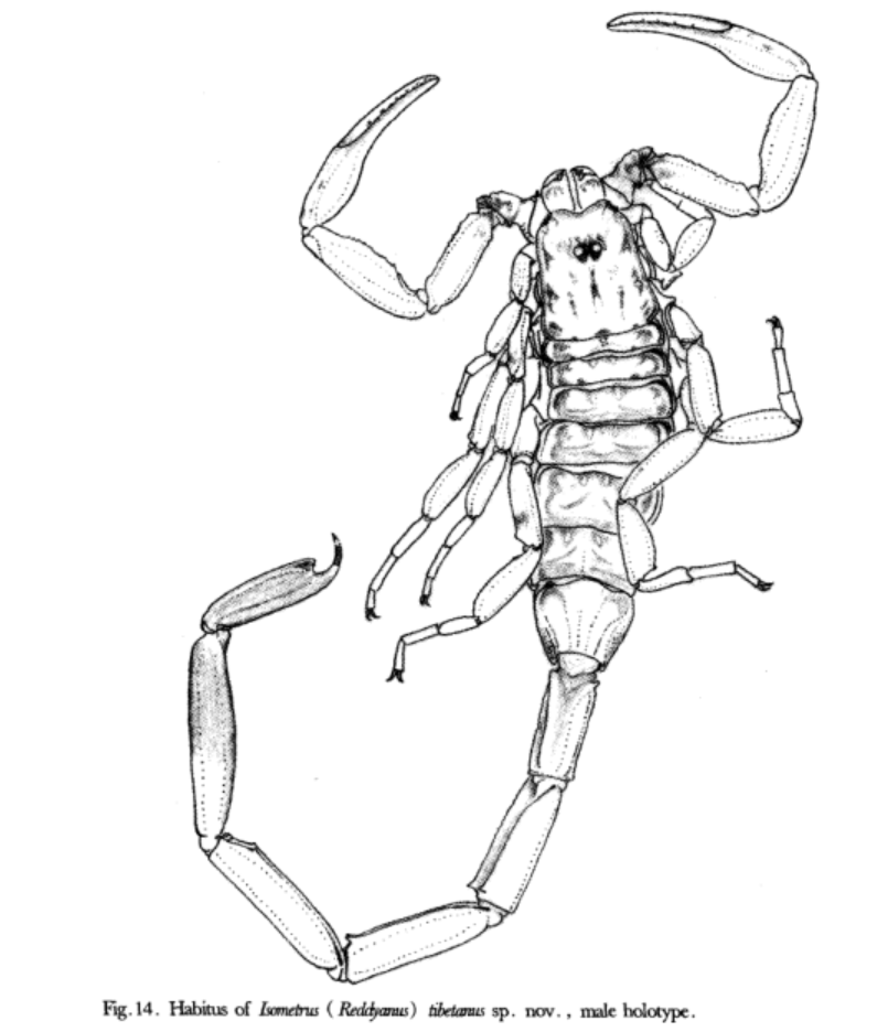 名和利猜成语_看图猜成语(3)