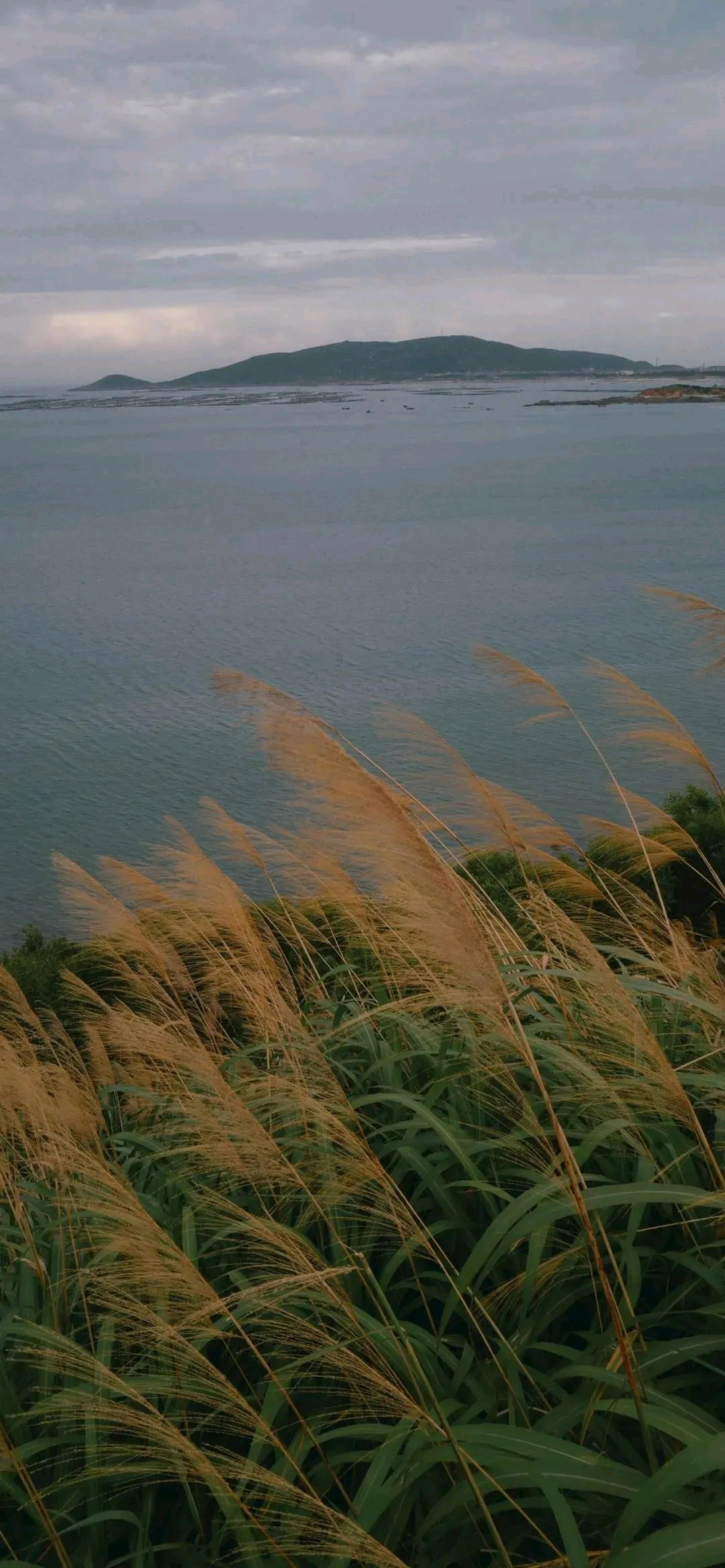 b01cb099d1840e10544ff003e87f0bb21321d5fd.jpg