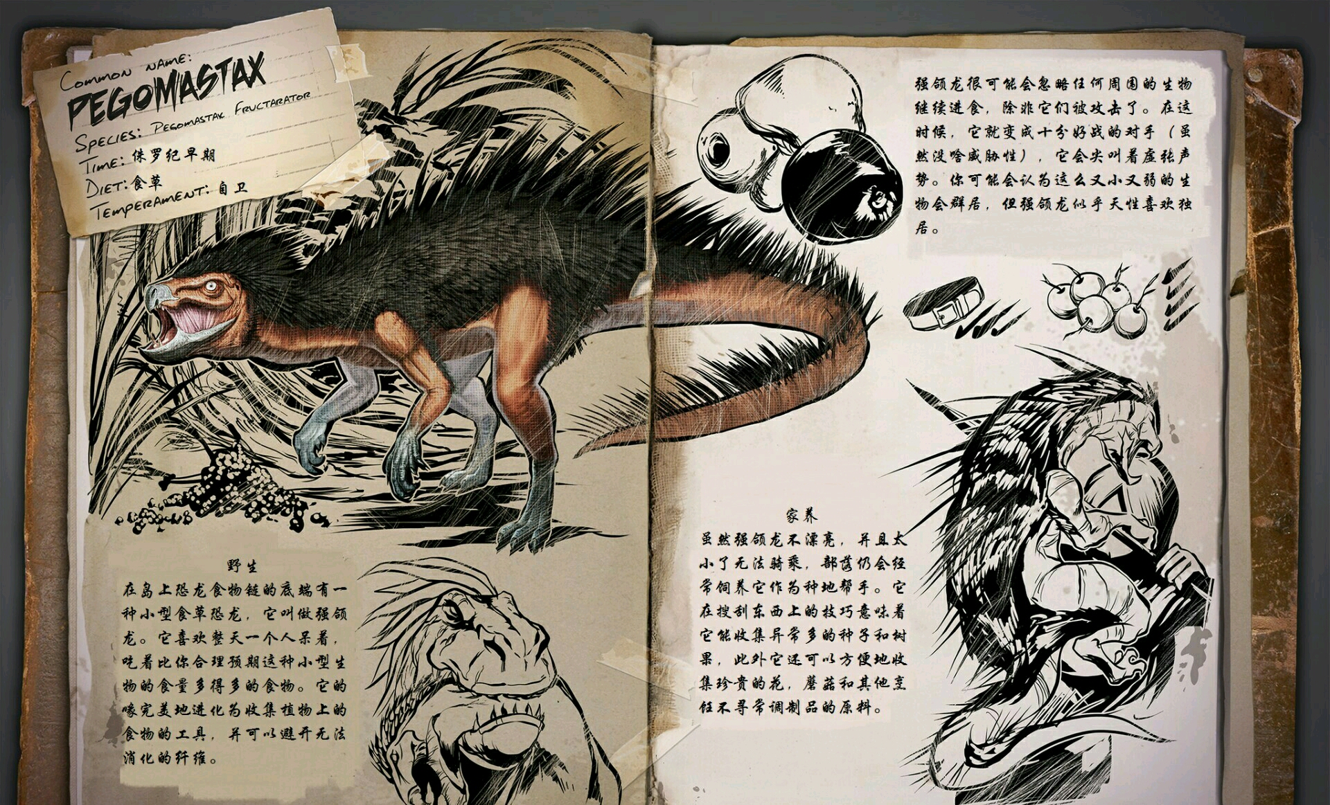 方舟生存进化全生物图鉴合集孤岛篇