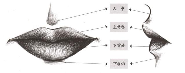 (4)漫画中嘴巴的基本类型 嘴有吃饭,说