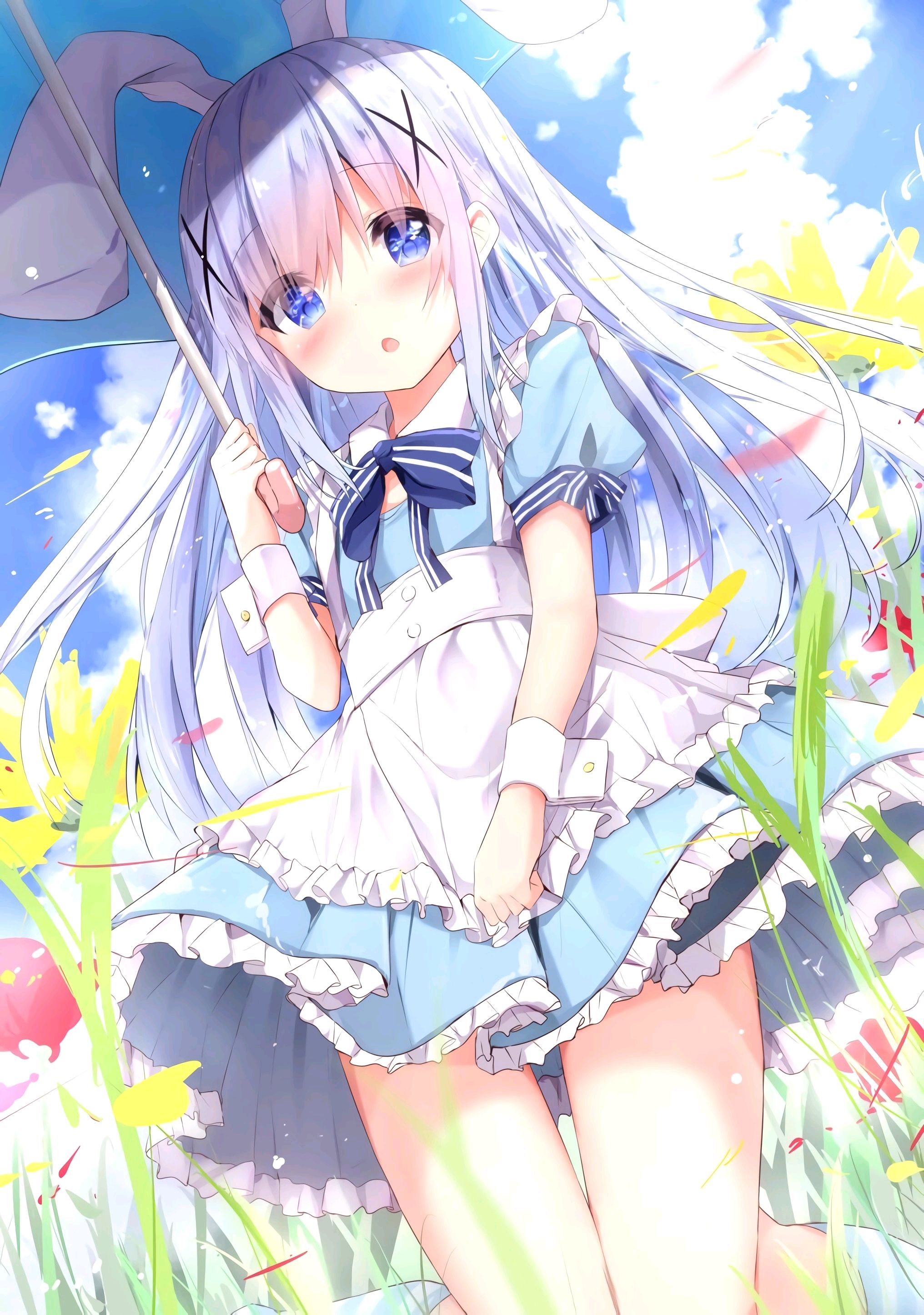 二次元 香风智乃 美图