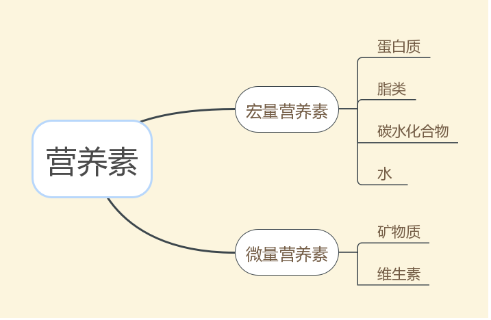 其中脂类,蛋白质,碳水化合物三者称为三大产能营养素.