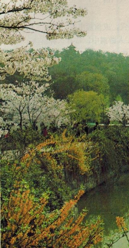 江山如此多骄 80年代的风景照 让人好怀念