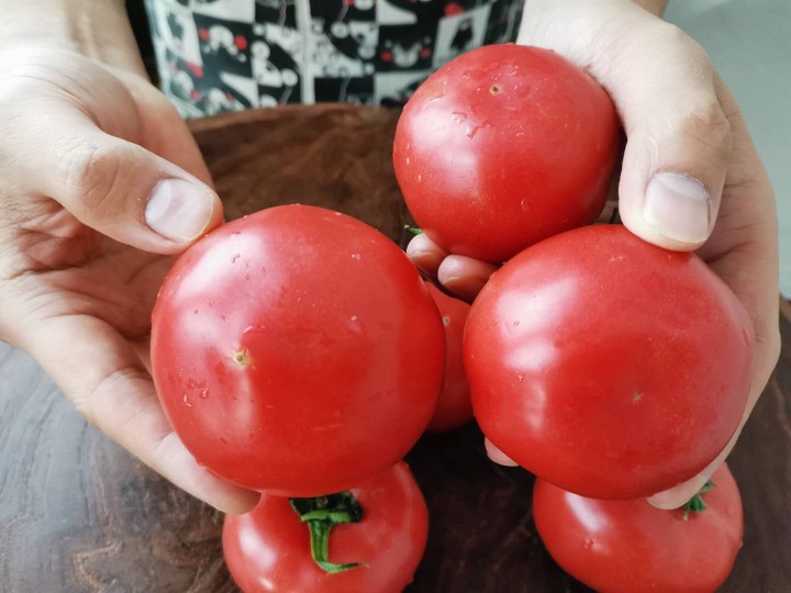 买西红柿挑粉的还是红的菜农都不对牢记4点一挑一个准