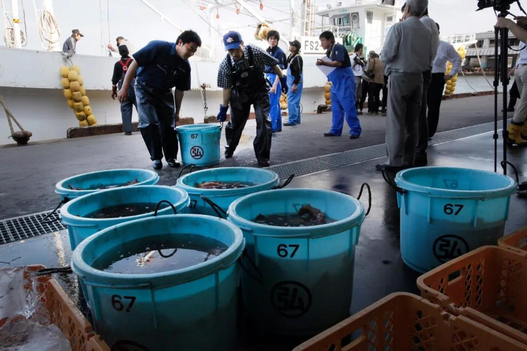 图为日本渔业