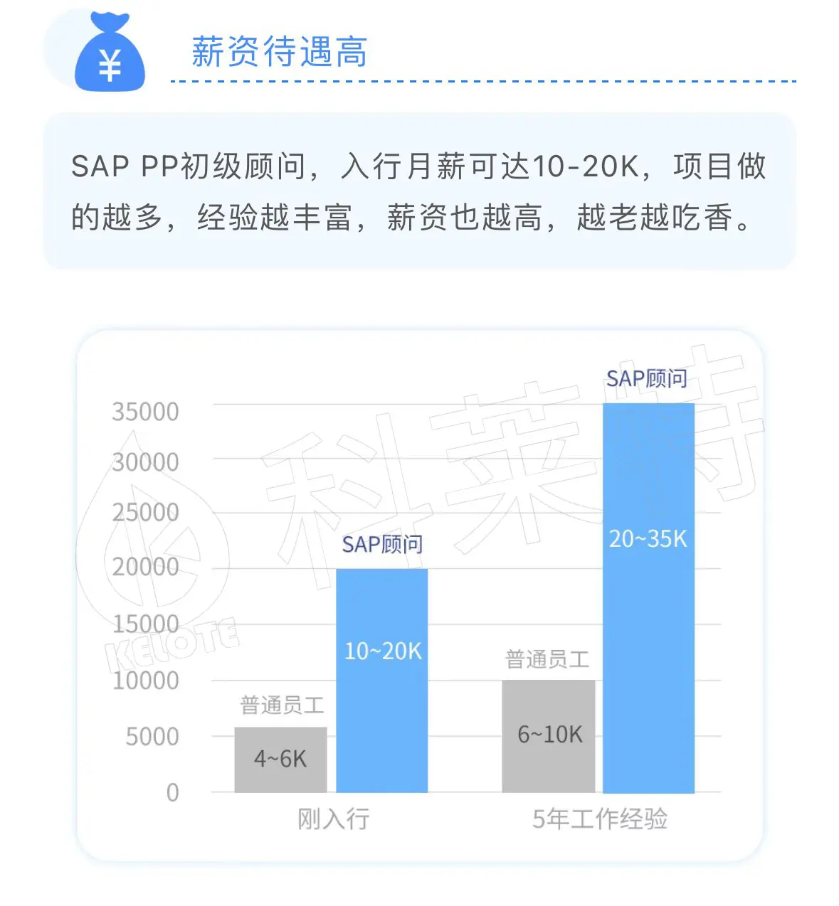 sap pp顾问是做什么的?前景怎么样?
