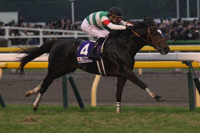 特别周的女儿——迷人景致