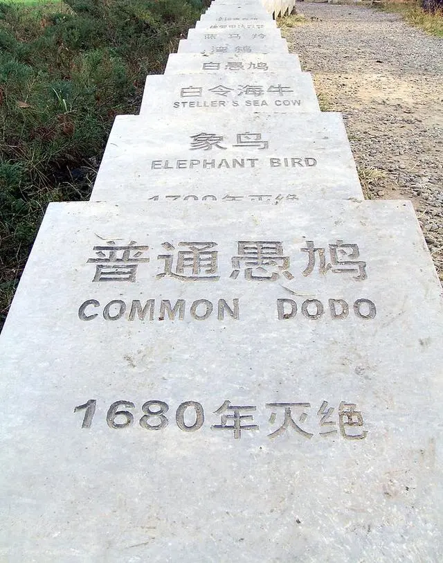 物种灭绝,长江“无鱼”,人类究竟要给地球动物带来多少伤害