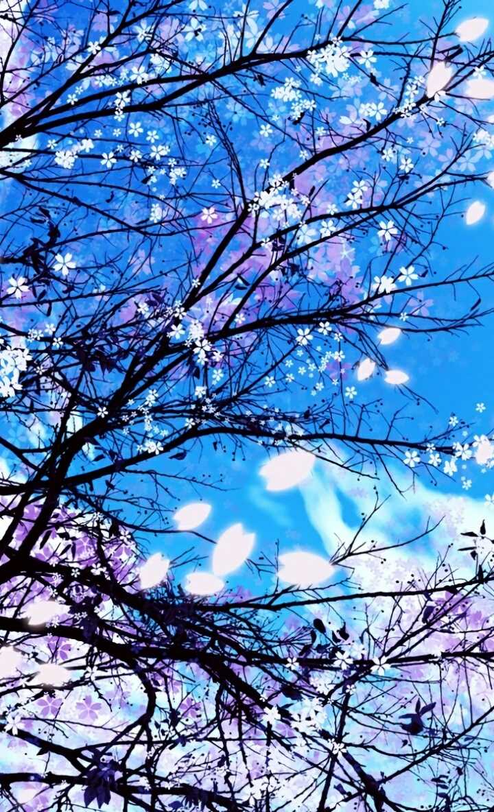 以樱花为主题的唯美壁纸