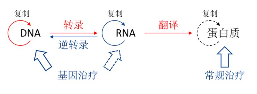 中心法则