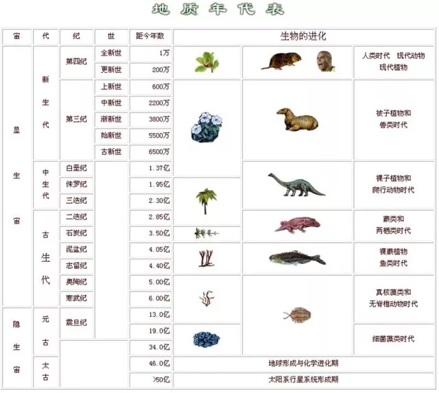 5亿年的二叠纪末期,似乎每一次生物大灭绝都有规律的在地球生物进化的