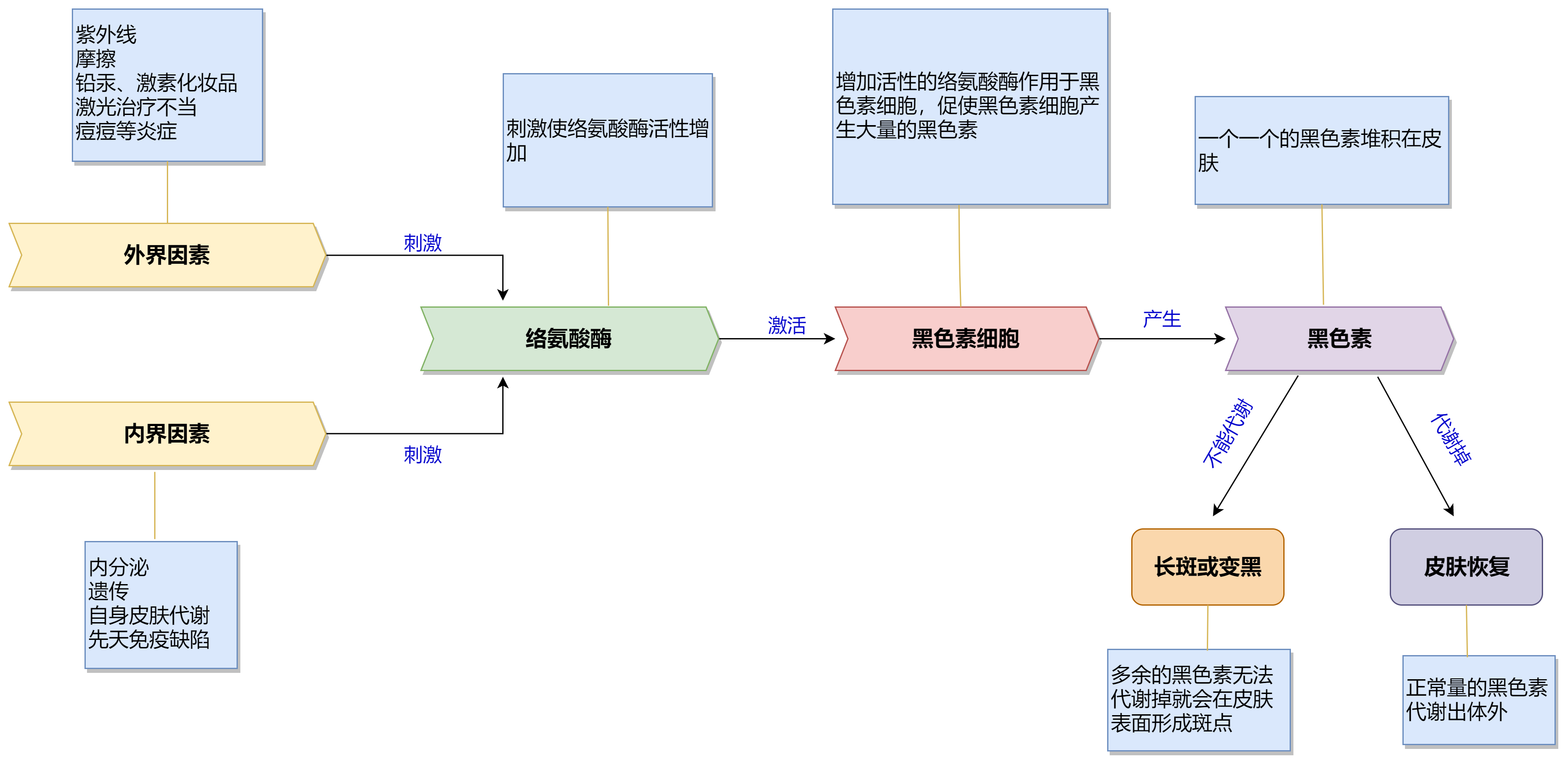 黑色素产生过程