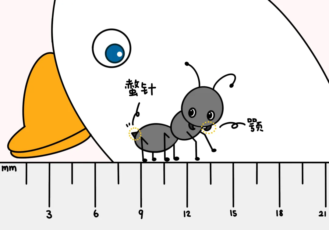 b3e9380f4bdb0e499a2d762fbc9352003e71811f.png