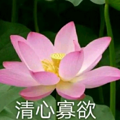 老年人头像