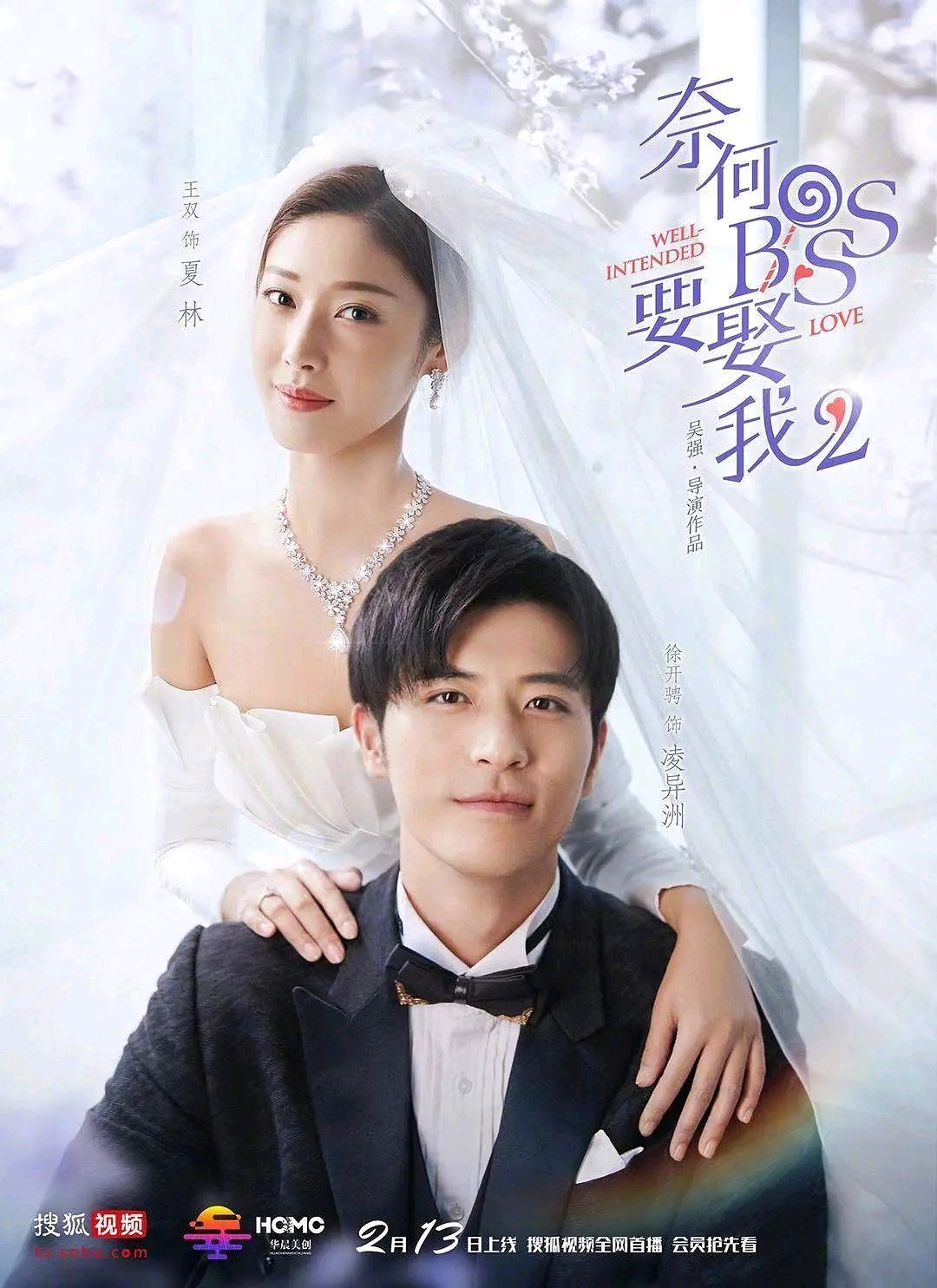 奈何boss要娶我2已更新