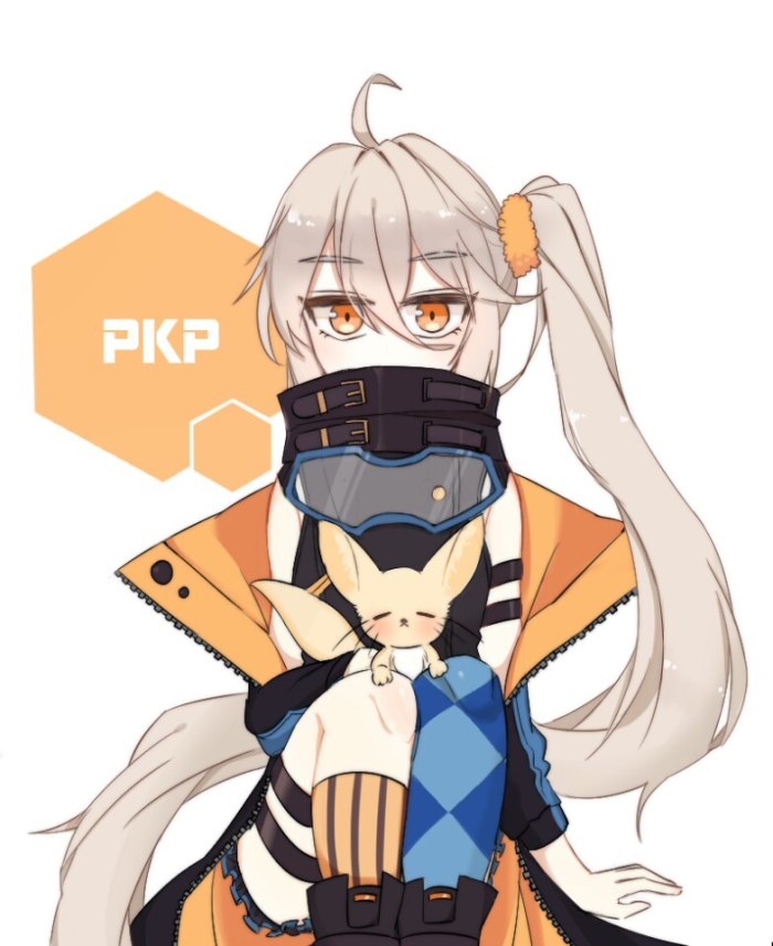 少女前线pkp专辑
