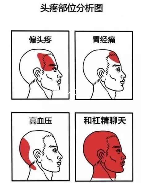 双是什么网络用语 b4e881be4945b6275455790f4cb1bfd0c6ea0495.jpg