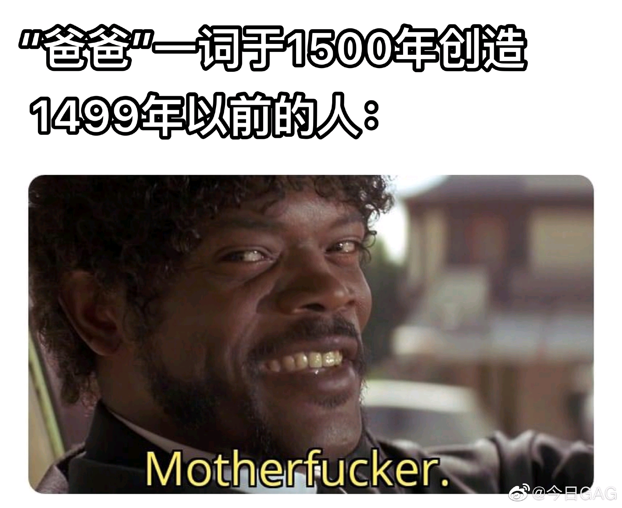 【no.51】每日梗图/memes