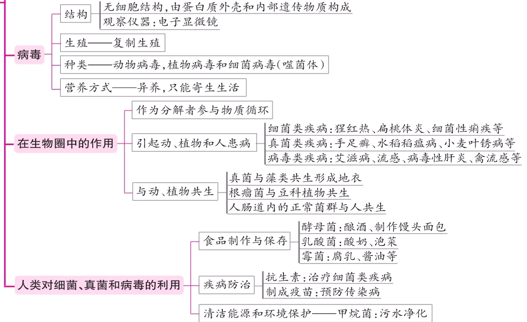 初中生物最全概念图,不收藏是你的错!