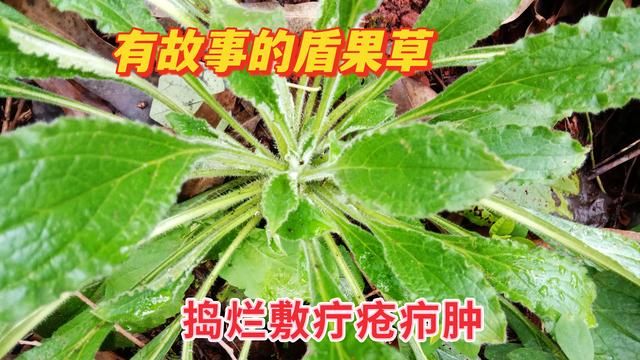 b500a9e101f9087194a998f9d2e20046c02b8e1b.jpg