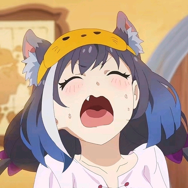 炸毛猫也爱!