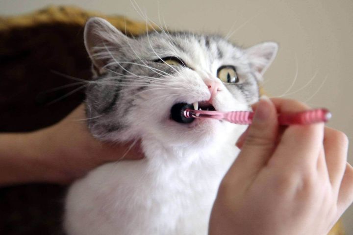 b5e313b38cae82884c47782aefdae4793bf8e97d.jpg