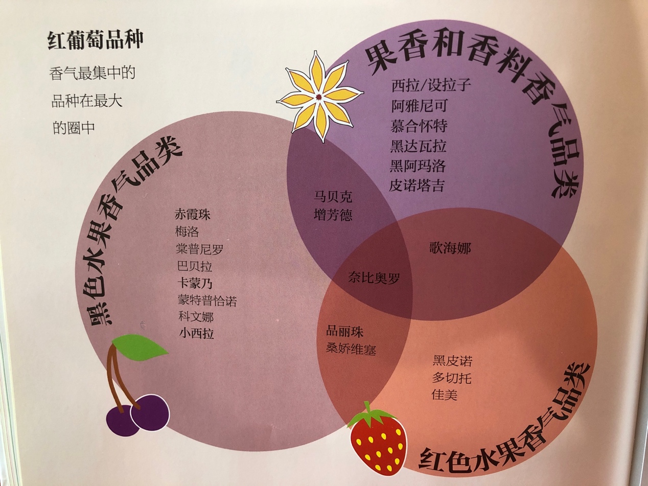 红葡萄酒品种