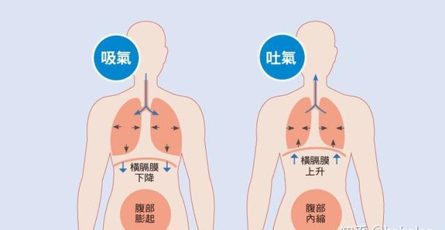 想唱歌,请先学会唱歌的呼吸